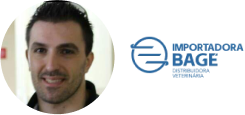importadora Bagé